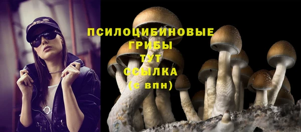 а пвп мука Балабаново