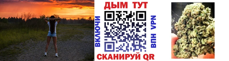 Бошки Шишки Amnesia  Лакинск 
